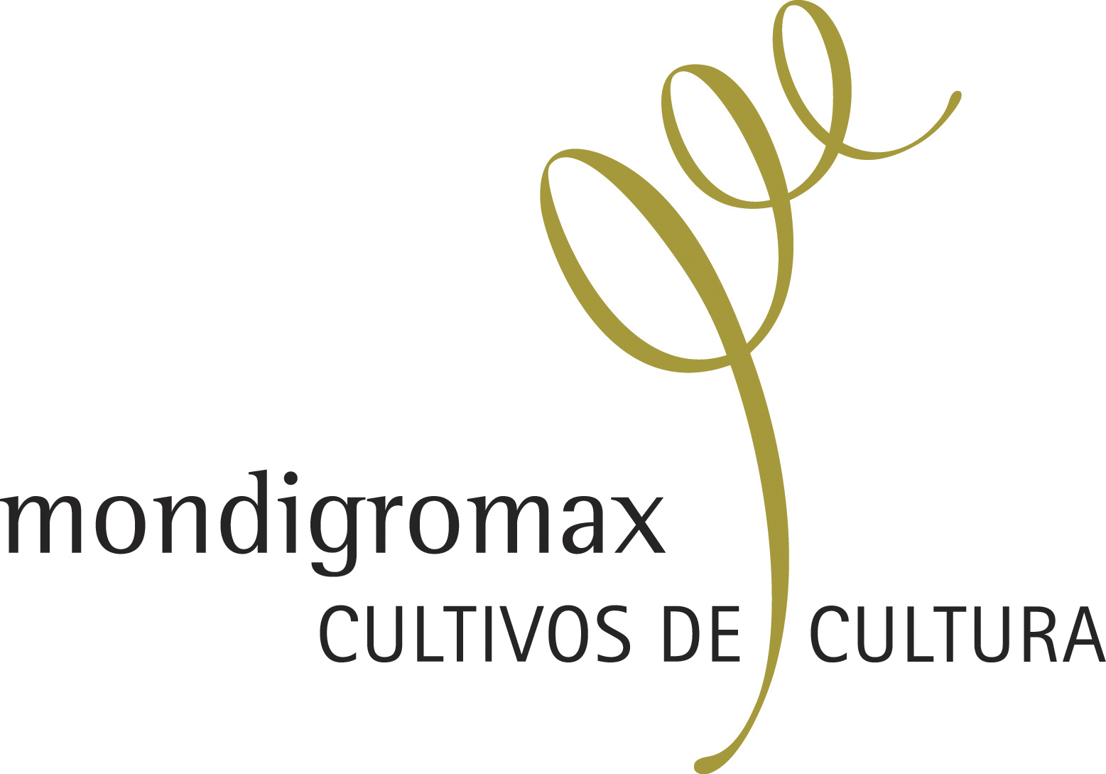 Logo Mondigromax
