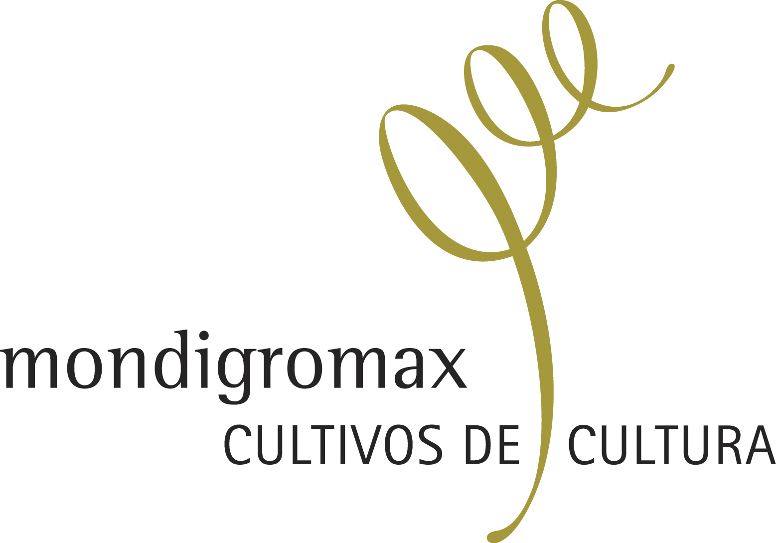 mondigromax.com